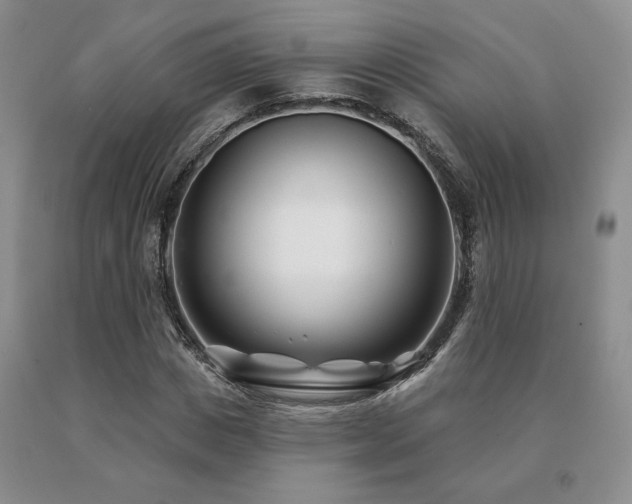 X0000091070825200708061300