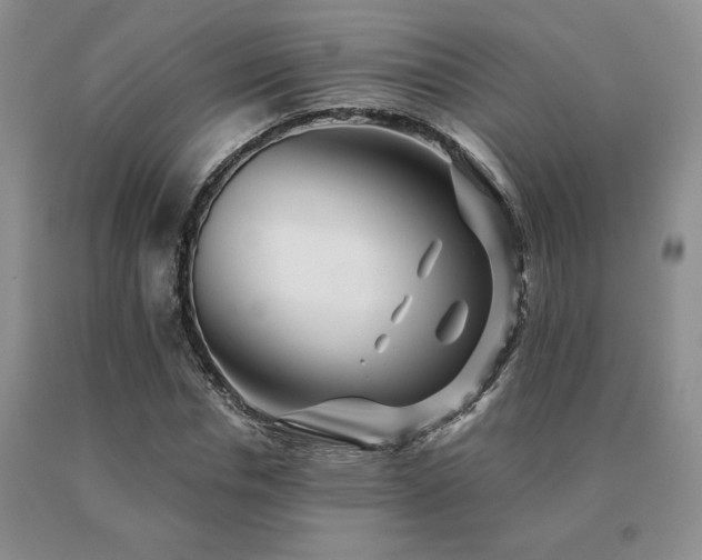X0000091070826200708061300