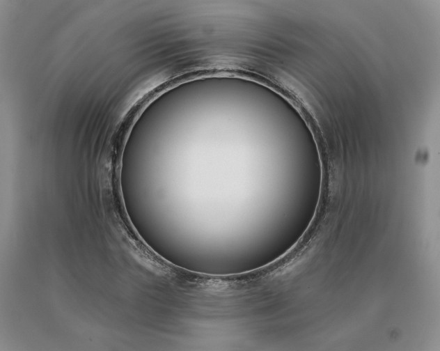 X0000091070827200708061300