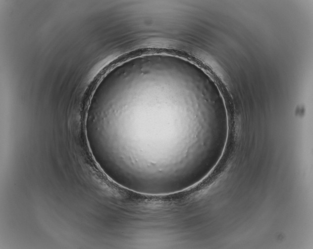 X0000091070829200708061300