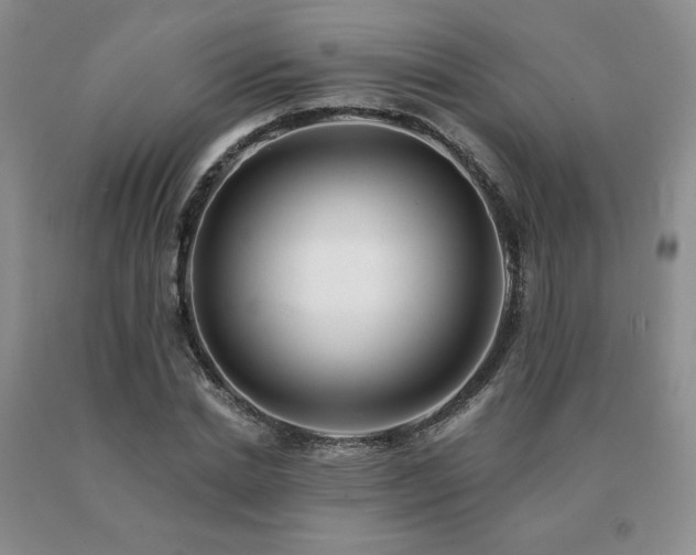 X0000091070830200708061300