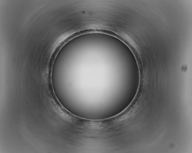X0000091070831200708061300