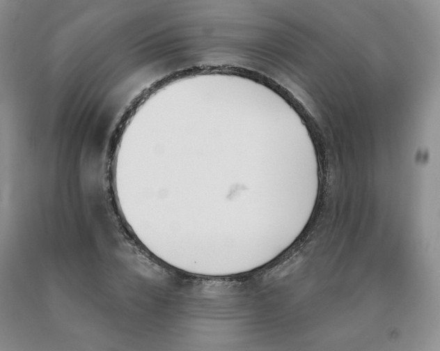 X0000091070832200708061300