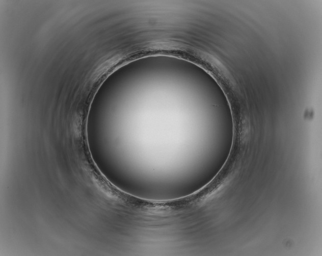 X0000091070833200708061300