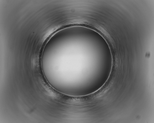 X0000091070834200708061300