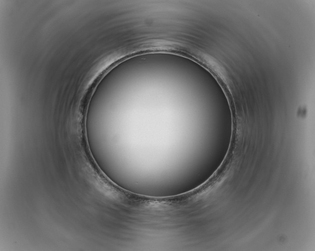 X0000091070835200708061300