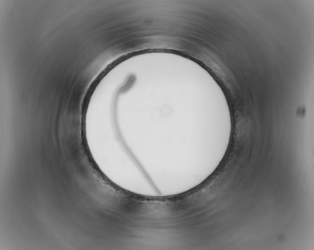 X0000091070836200708061300