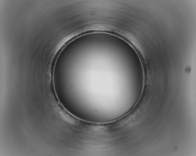 X0000091070837200708061300