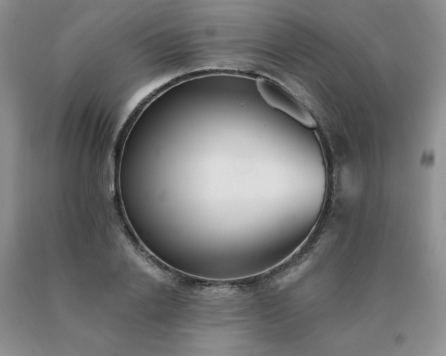 X0000091070838200708061300