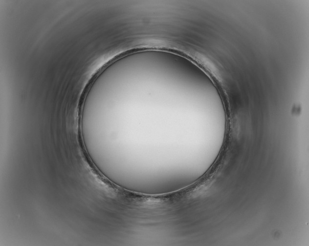 X0000091070839200708061300