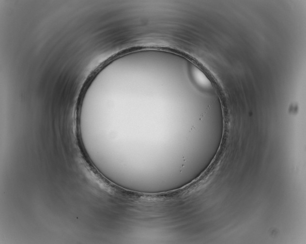 X0000091070840200708061300