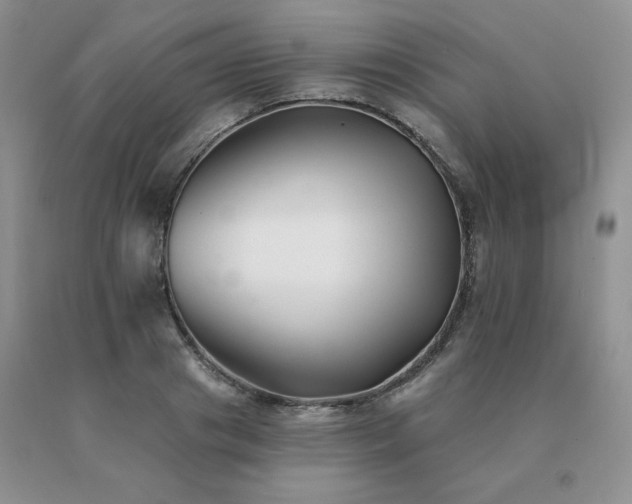 X0000091070841200708061300