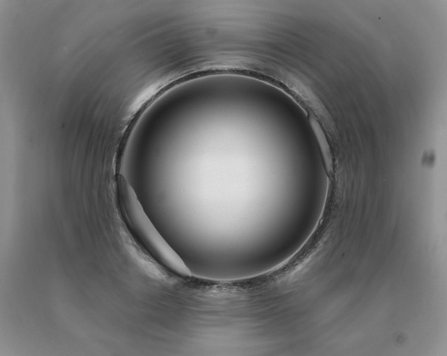 X0000091070842200708061300