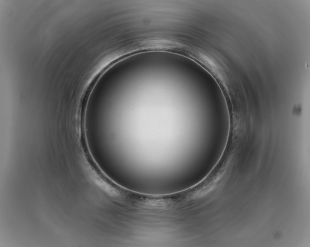 X0000091070843200708061300