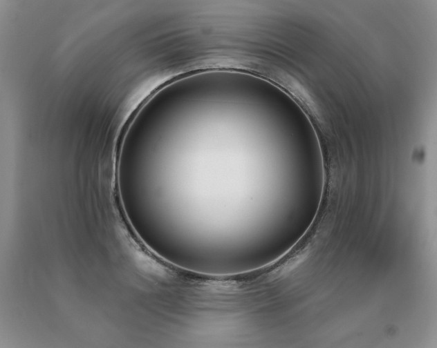 X0000091070844200708061300