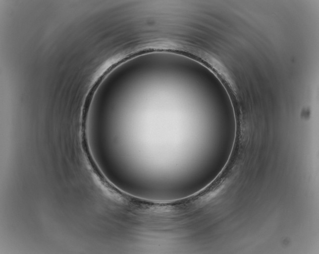X0000091070845200708061300