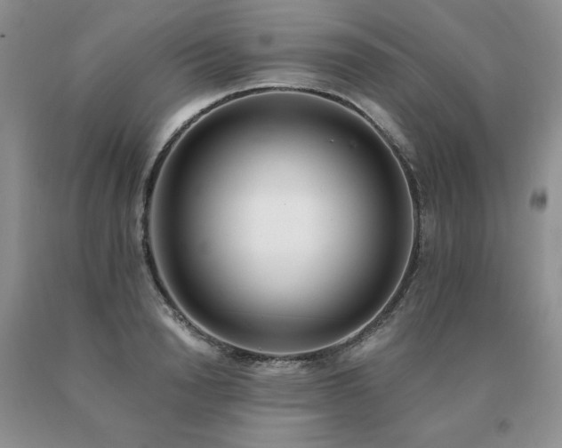 X0000091070846200708061300