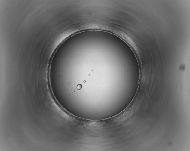 X0000091070847200708061300