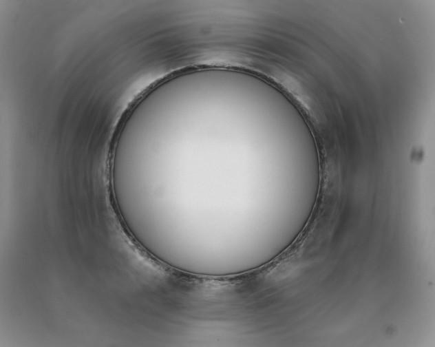X0000091070848200708061300