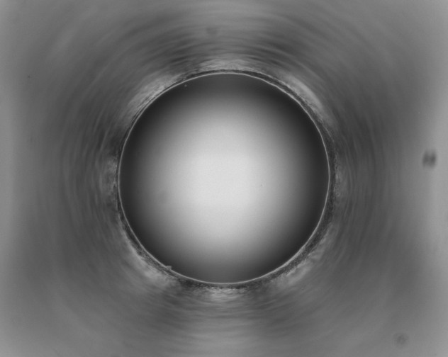 X0000091070849200708061300