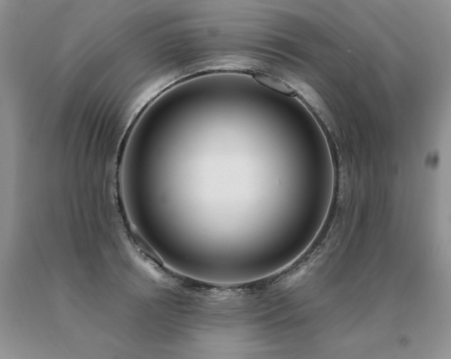 X0000091070850200708061300