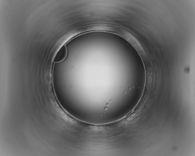 X0000091070852200708061300