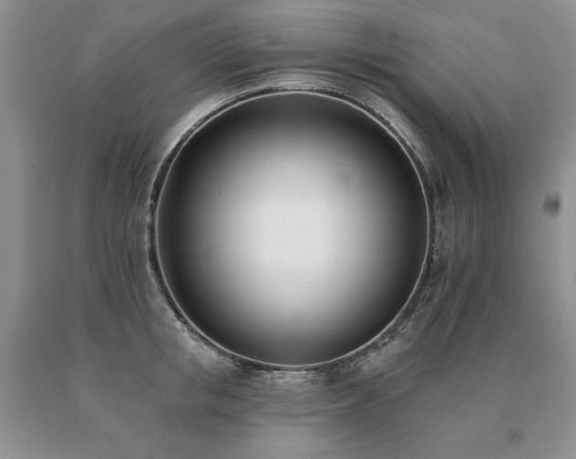 X0000091070853200708061300