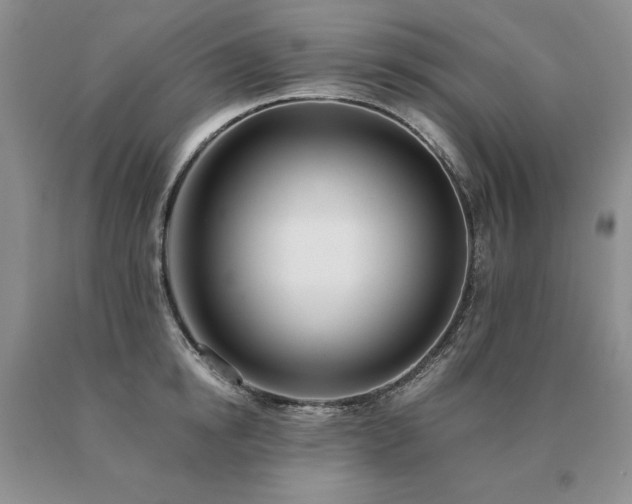 X0000091070854200708061300