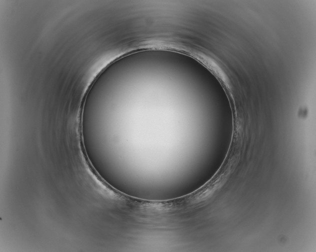 X0000091070855200708061300