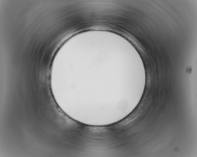 X0000091070856200708061300