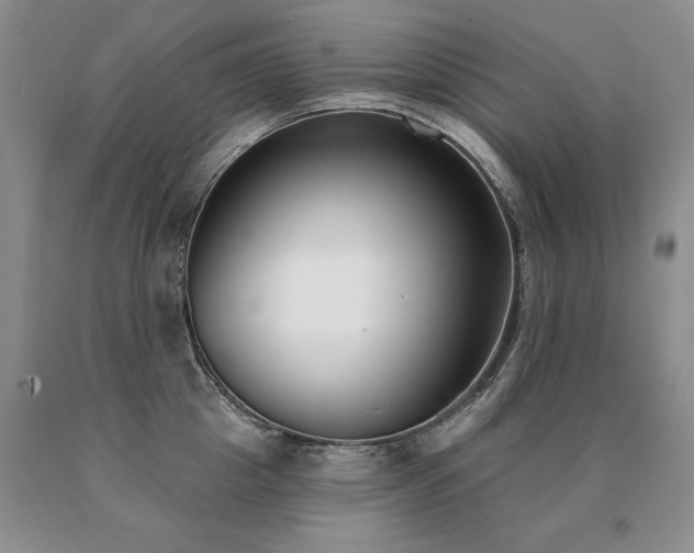X0000091070857200708061300
