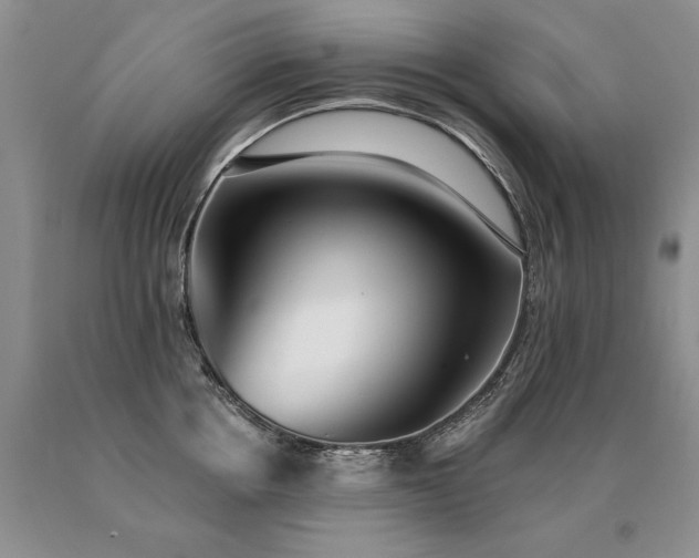 X0000091070858200708061300