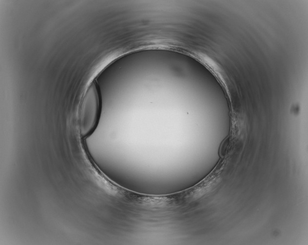 X0000091070859200708061300