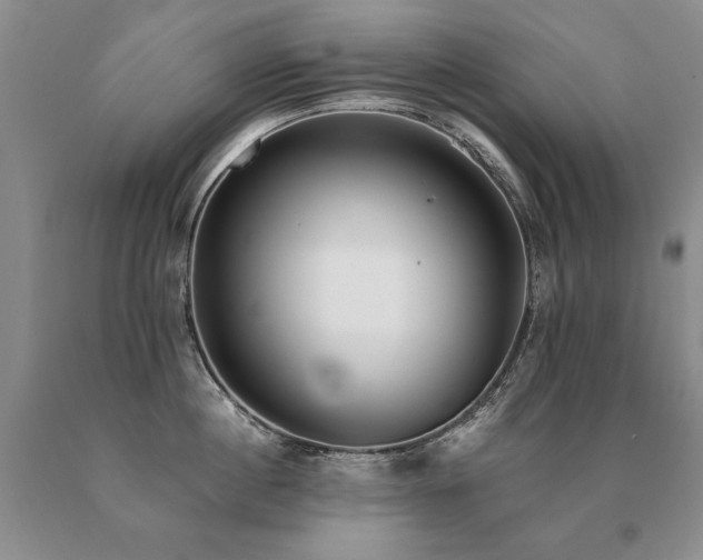 X0000091070860200708061300