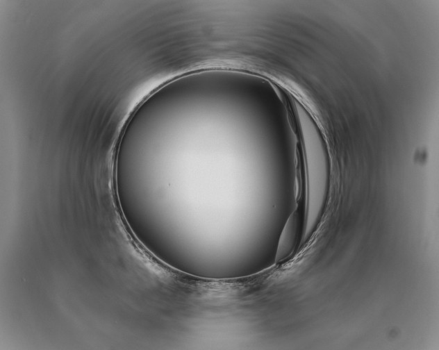 X0000091070862200708061300