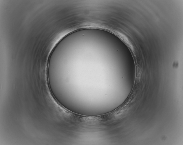 X0000091070863200708061300