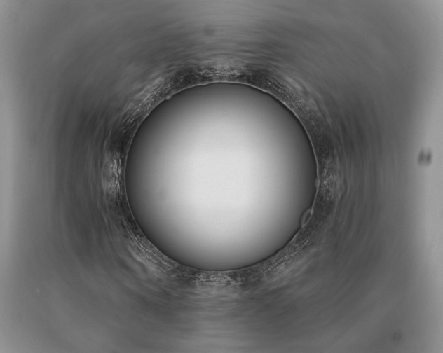 X0000091070866200708061300