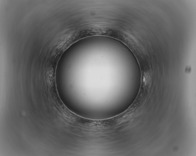 X0000091070867200708061300
