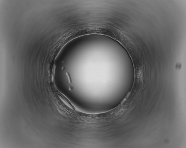 X0000091070868200708061300
