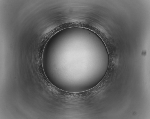 X0000091070869200708061300