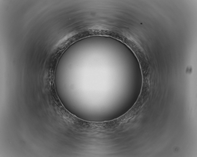 X0000091070870200708061300