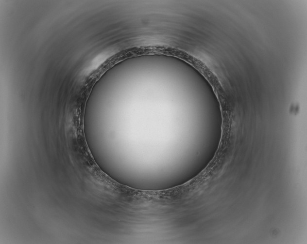X0000091070871200708061300