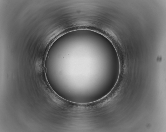X0000091070873200708061300