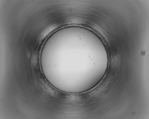 X0000091070874200708061300
