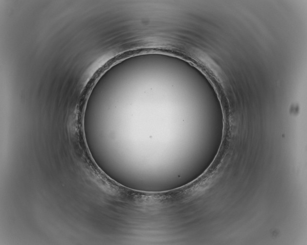 X0000091070875200708061300