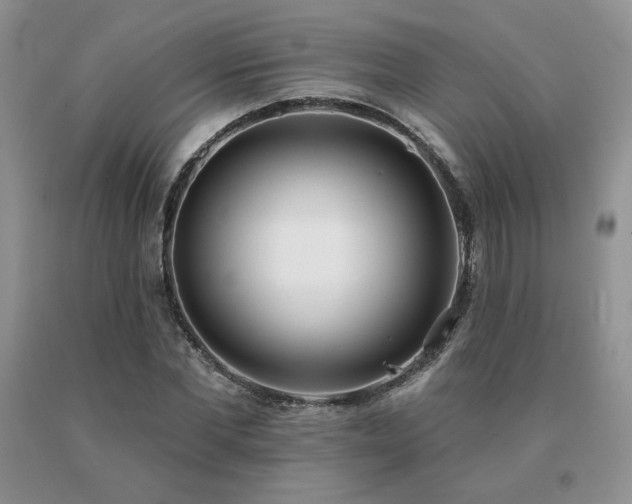 X0000091070877200708061300
