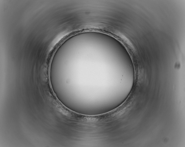 X0000091070878200708061300