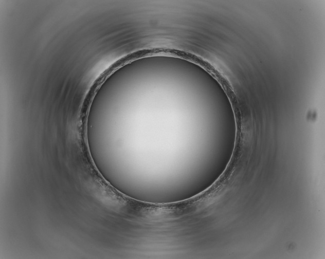 X0000091070879200708061300