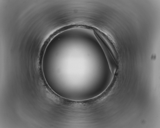 X0000091070880200708061300