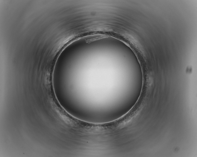 X0000091070881200708061300